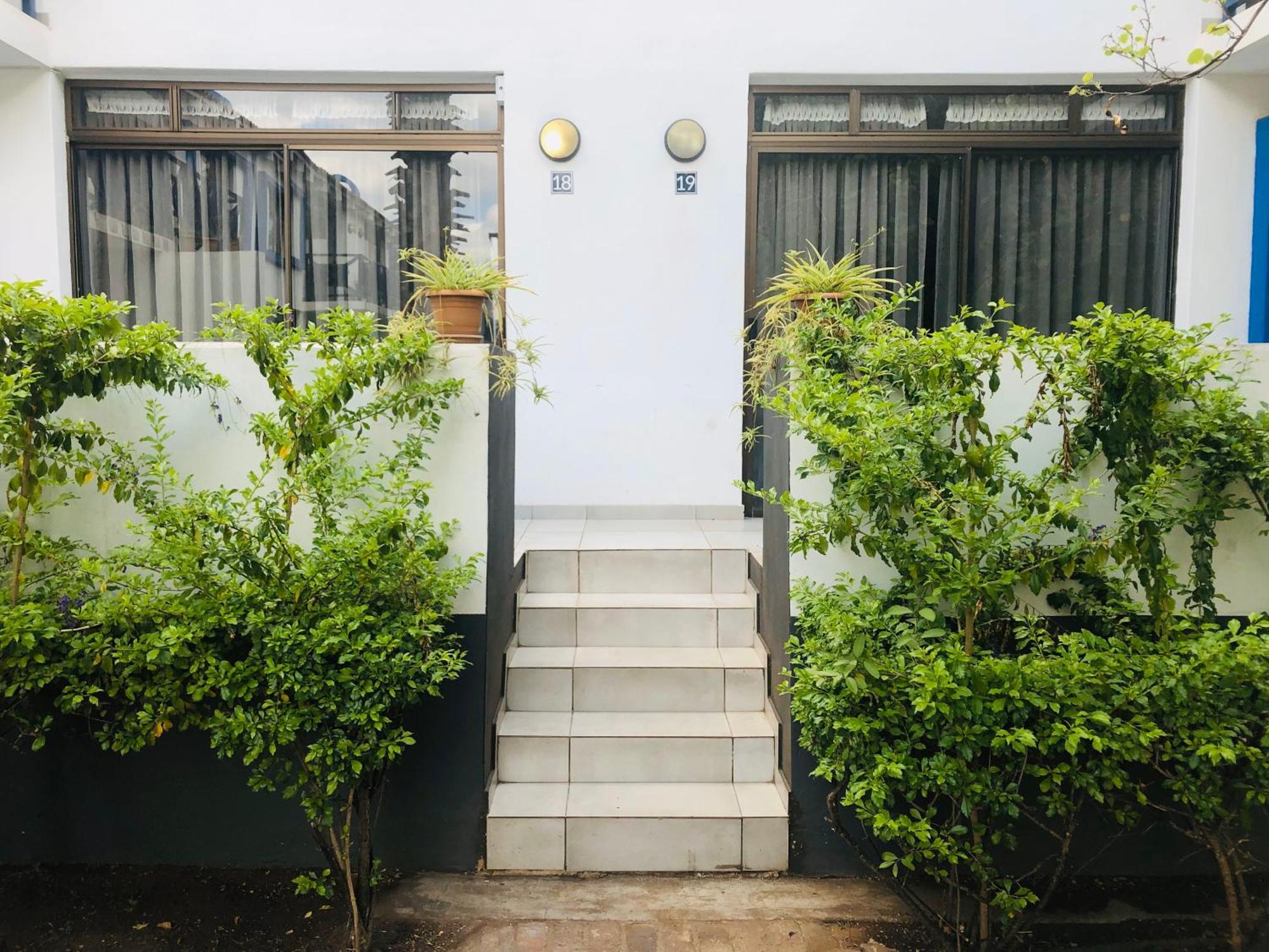 大象温泉公寓酒店 贝拉贝拉 客房 照片